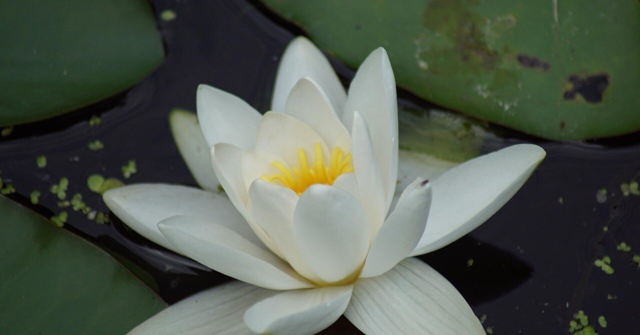 笑顔」で波動UP！初めて霊視を体験してみた｜Nissy／自分を大切にする