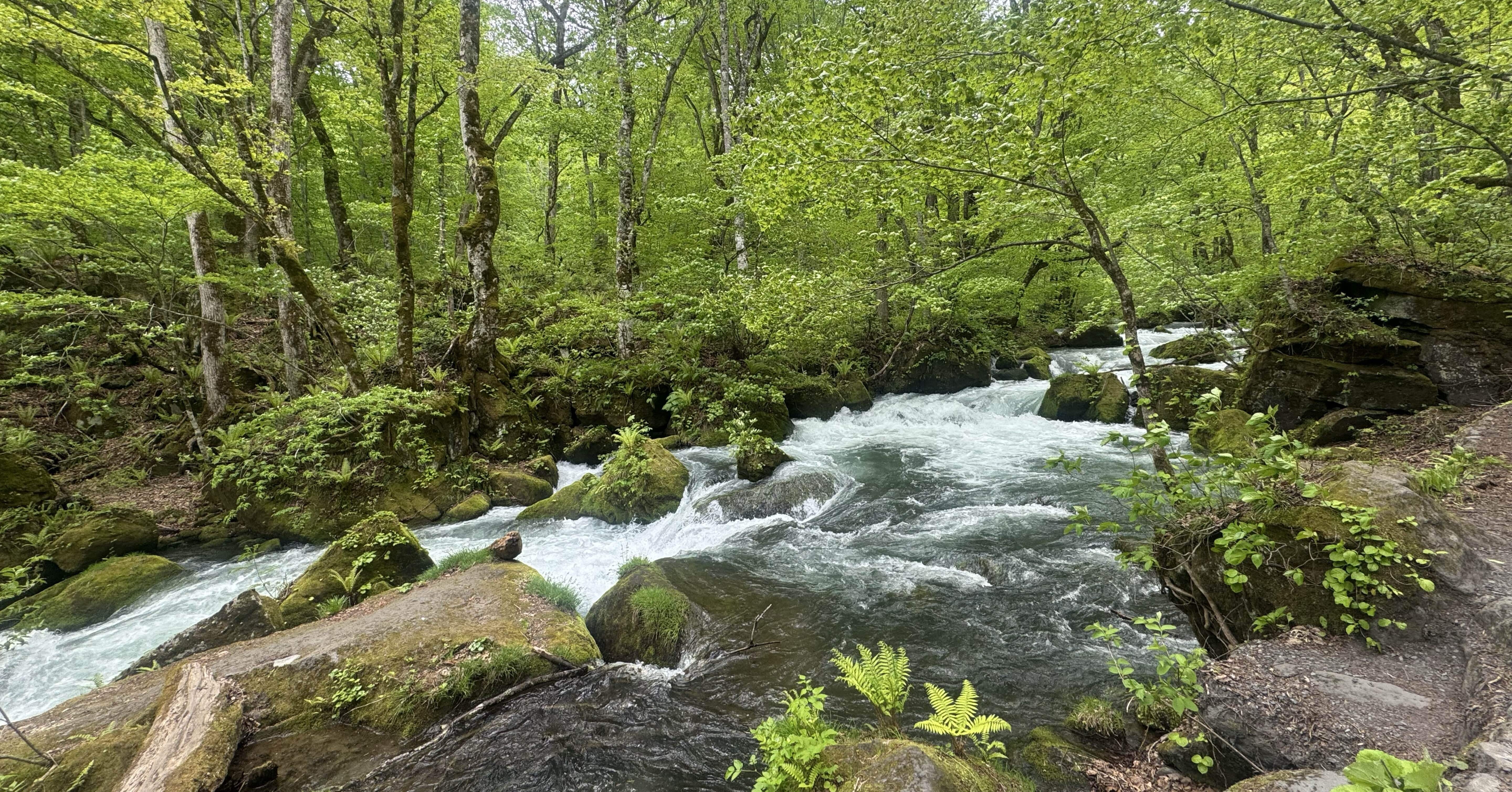 b682840a0f6eaeda40b003da489015