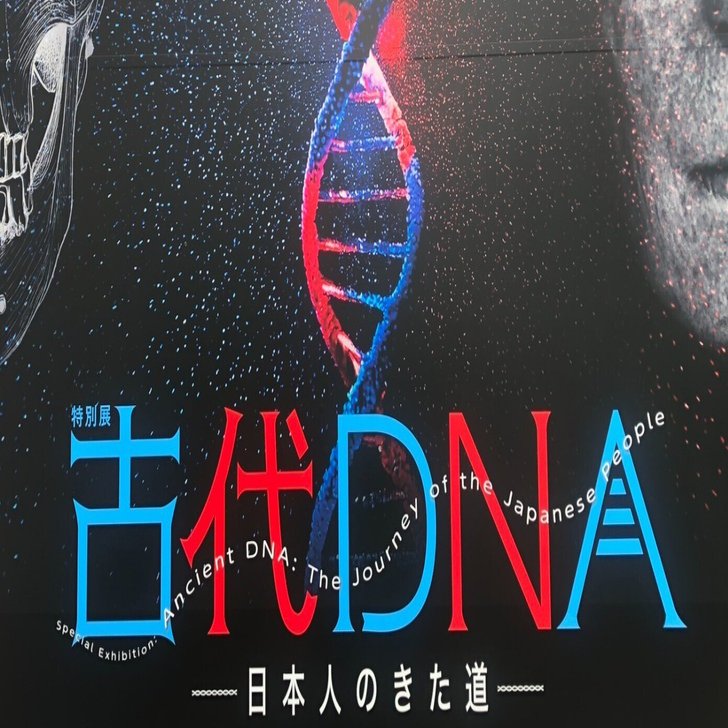 ルーツを探るツールはDNA｜紅紫