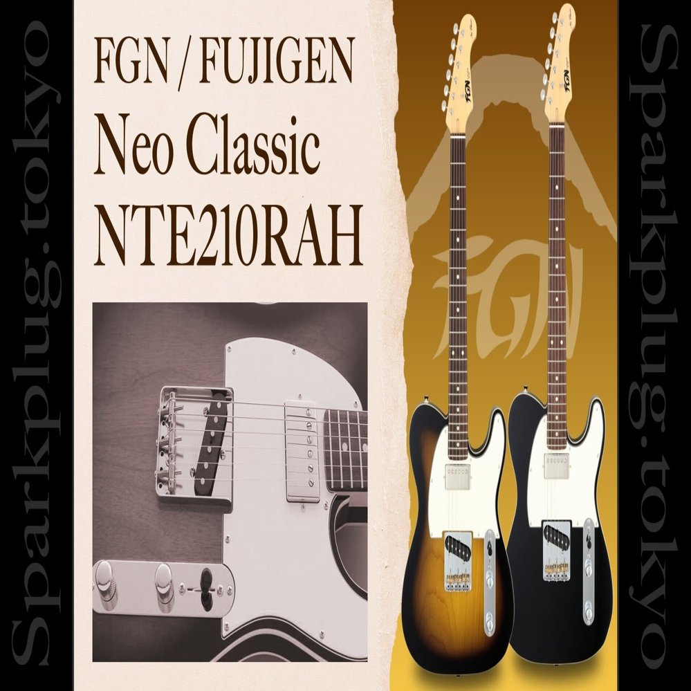 フジゲン・ネオクラシック・シリーズの上位モデル「NTE210RAH