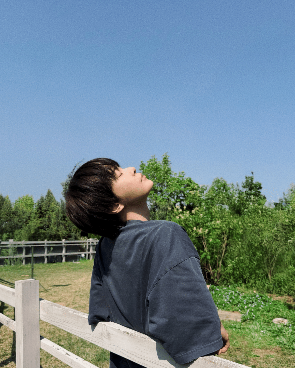 ドヨン(DOYOUNG) ソルコン ドア 四つ葉のクローバー 座布団 NCT NCT127