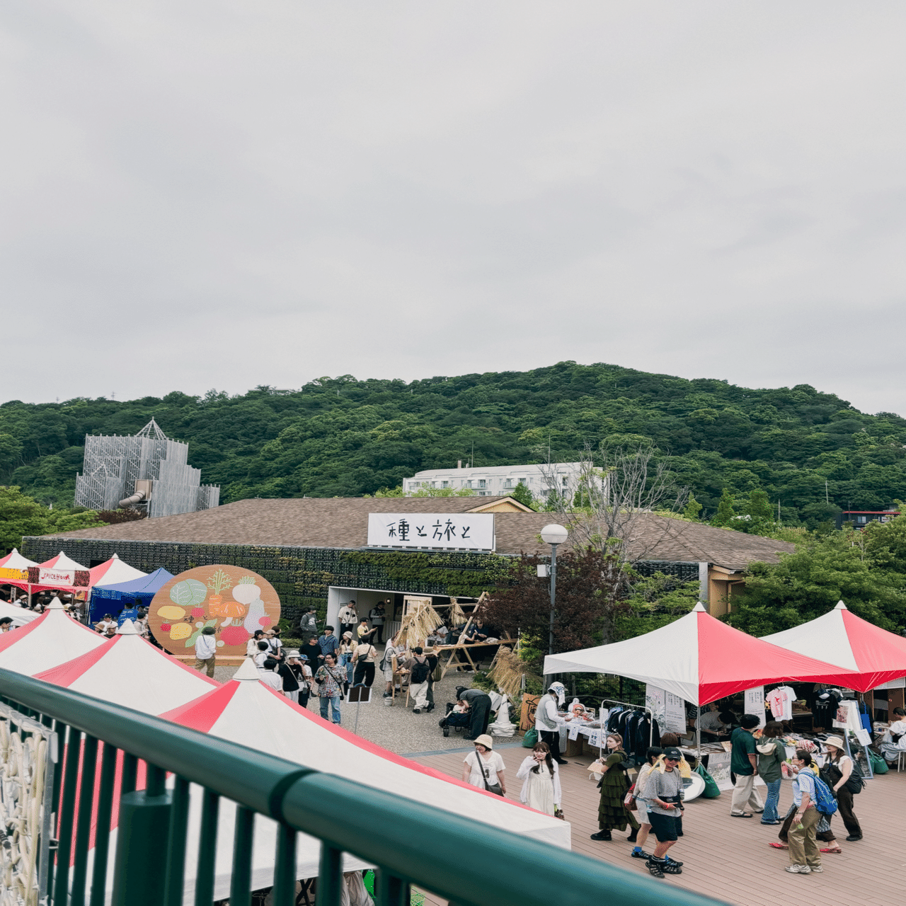 森、道、市場2025｜ramen