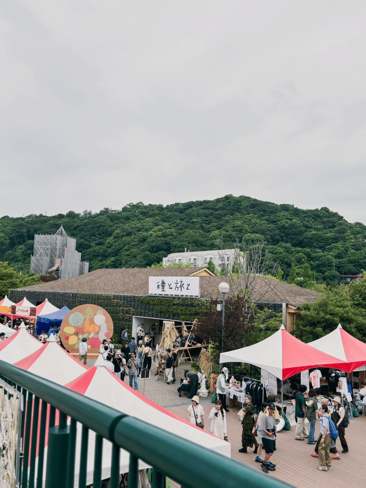 森、道、市場2025｜ramen