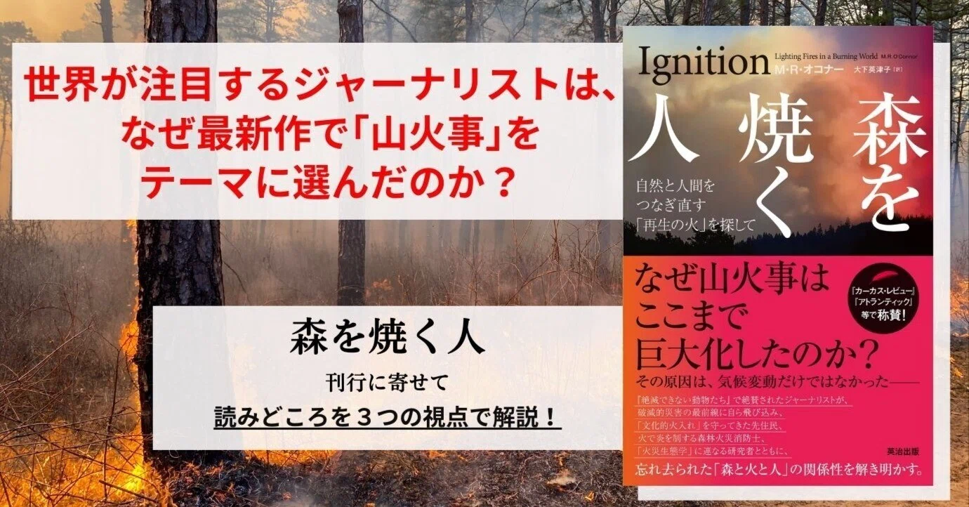 妻の作った 文鎮 風林火山 炎のたからもの 静かに燃える火