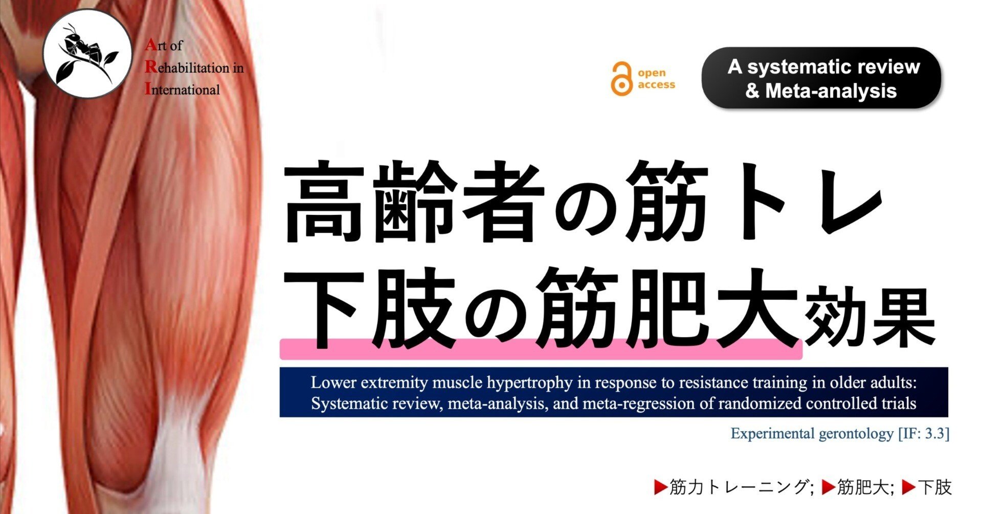 MUSCLES 筋力テスト 第2版 新・徒手筋力検査法 | Helen J. Hislop, Dale Avers, Marybeth