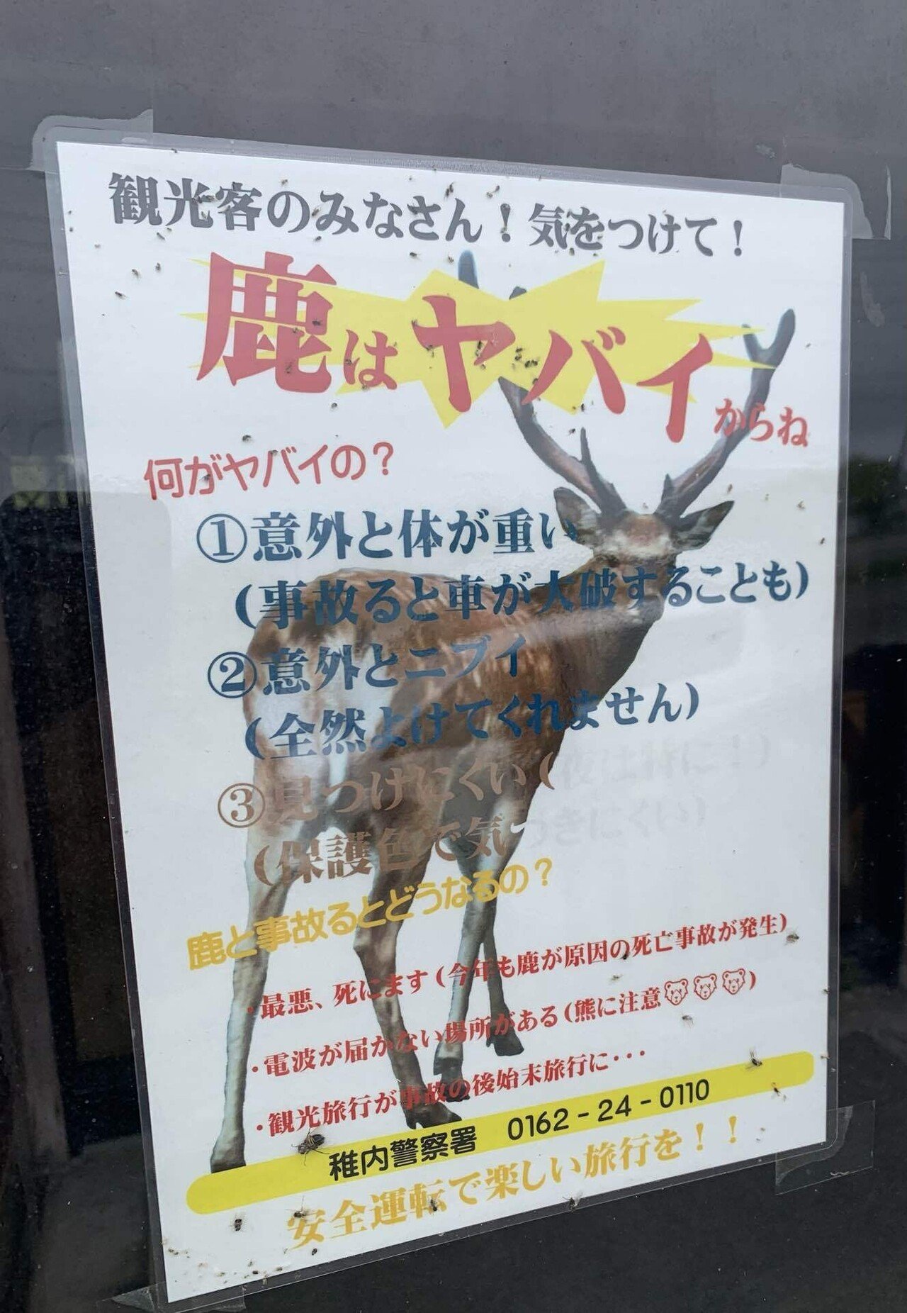 鹿様ご確認ページ 鹿はヤバイからね｜西浦 宏之 | ノース・ブランド LABO 代表