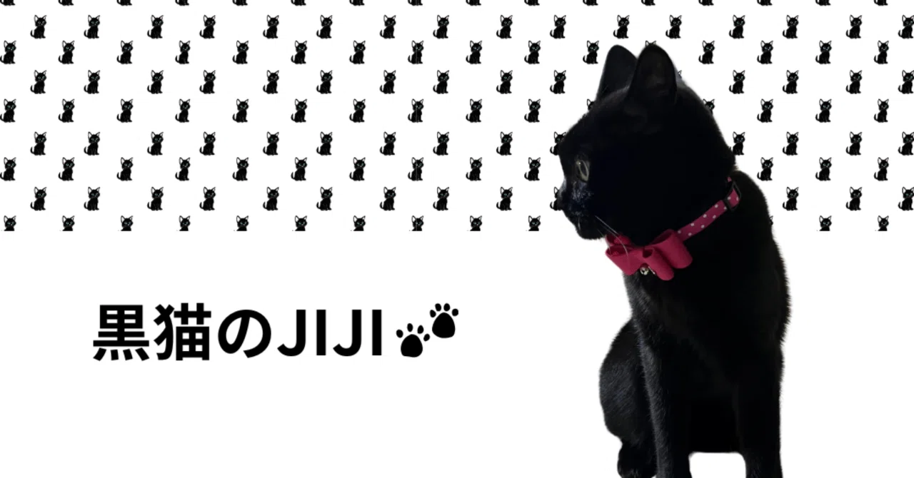 黒 猫 の ジジ Amazon co jp サン・アロー 魔女の宅急便 黒猫 ジジ LL