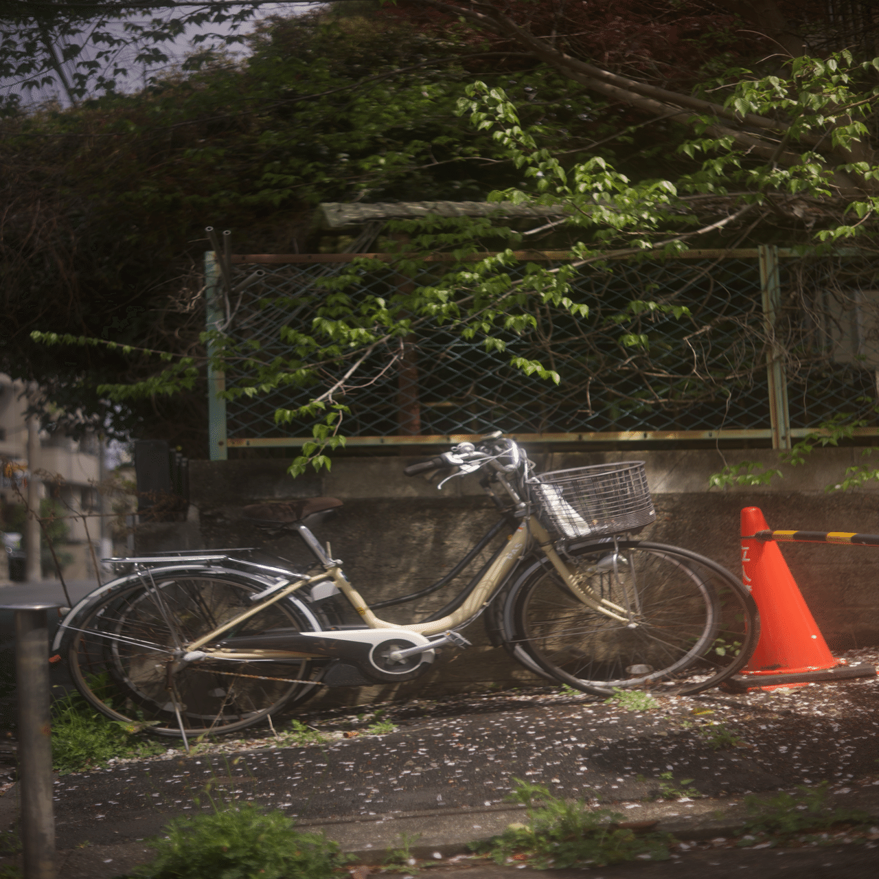 5_VSCOを7年使った私のおすすめプリセット Part1｜tobi