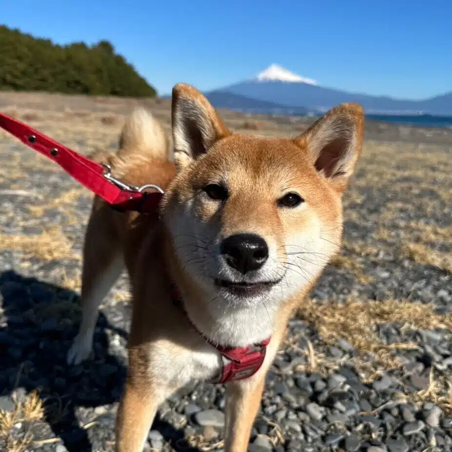 あや乃
