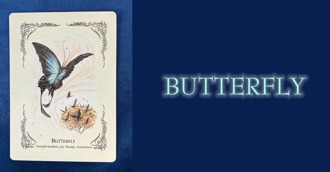Butterfly（蝶）｜さとうかよこ（きらら舎）