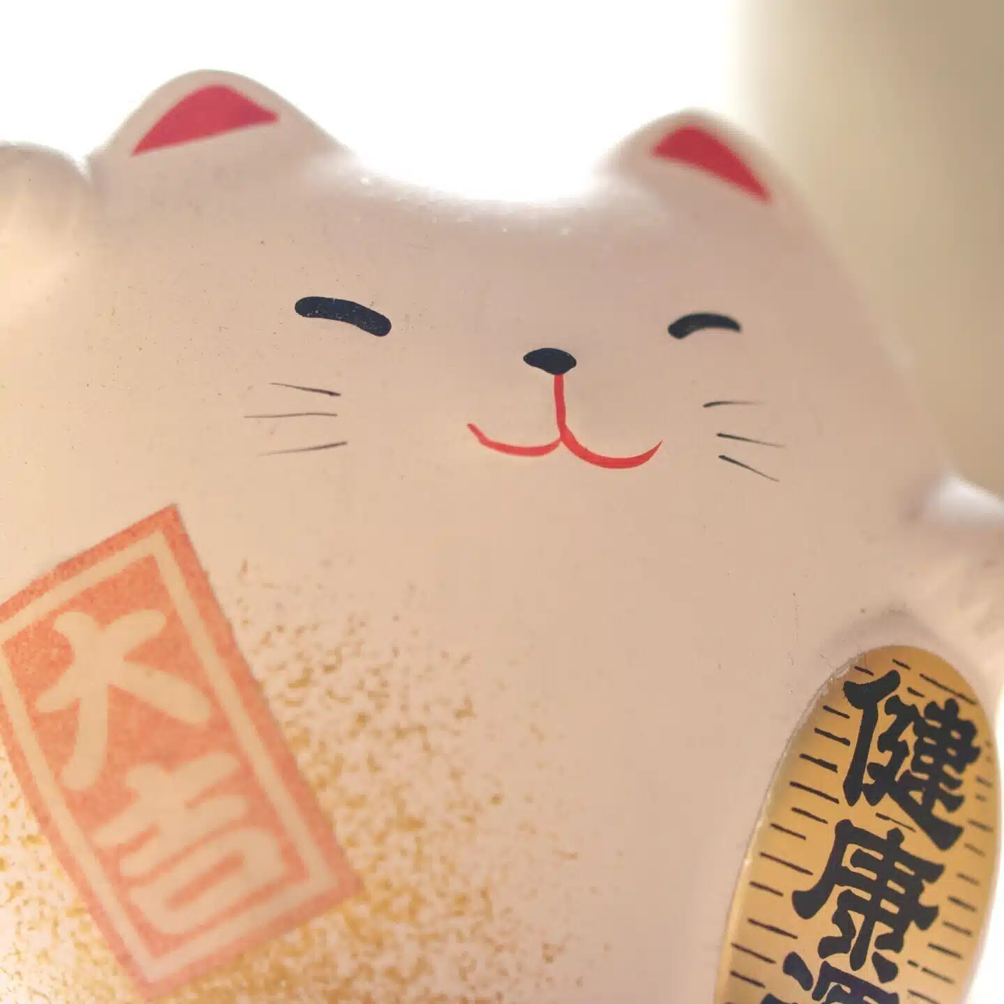 kotatsuneko