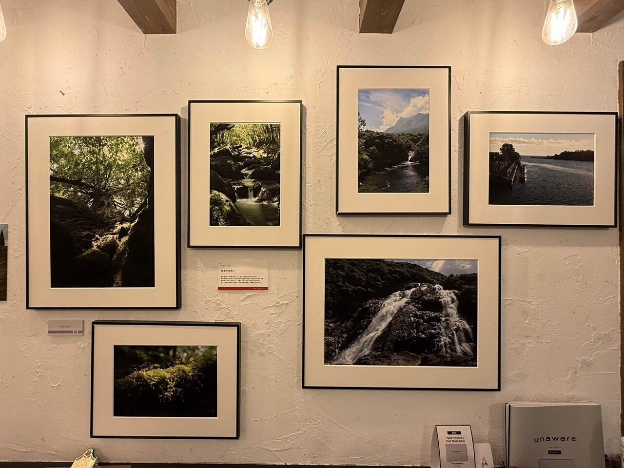 写真展に初出展｜屋久島の“命の構造”｜みよし