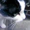 みお