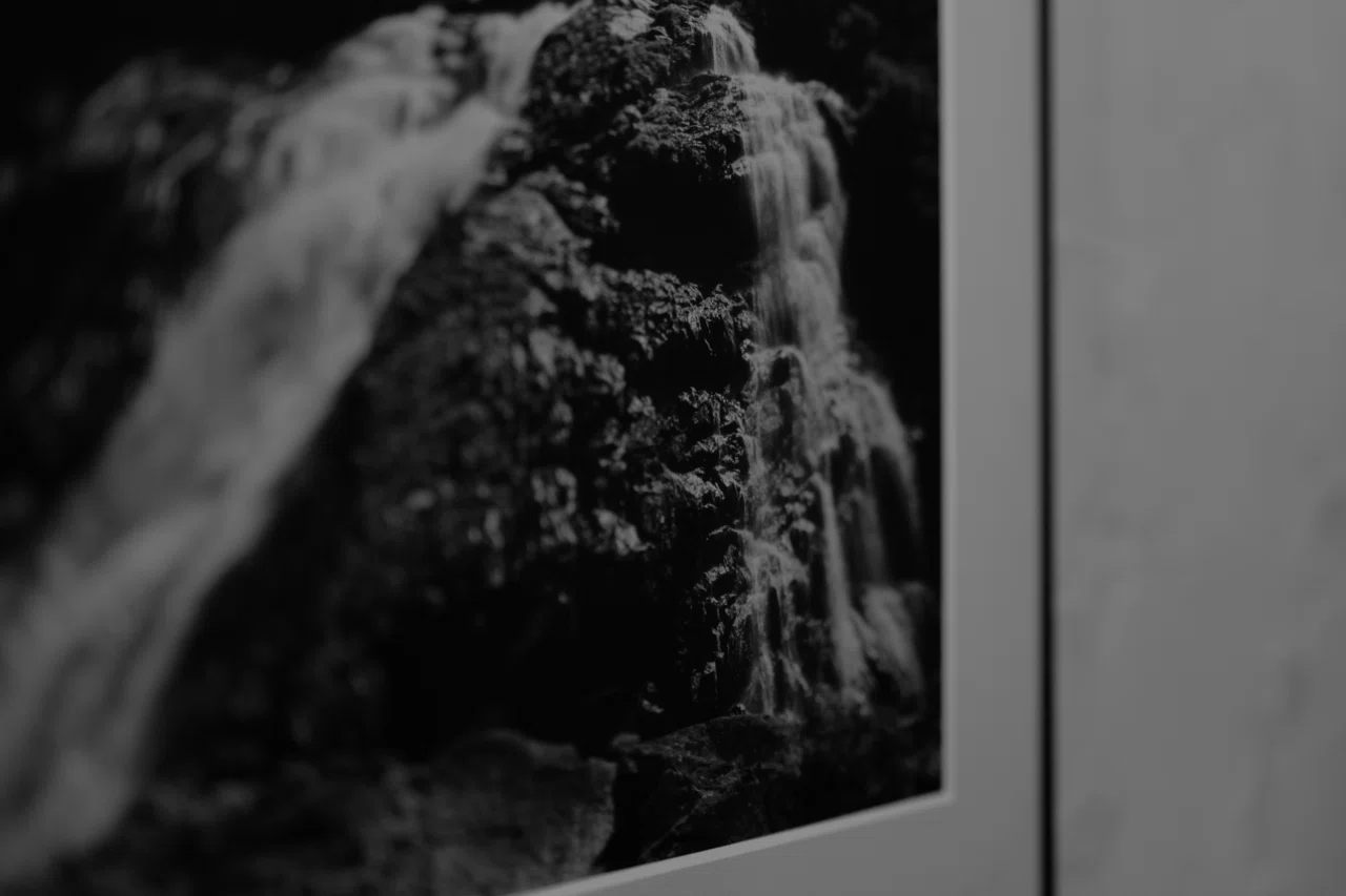 写真展に初出展｜屋久島の“命の構造”｜みよし