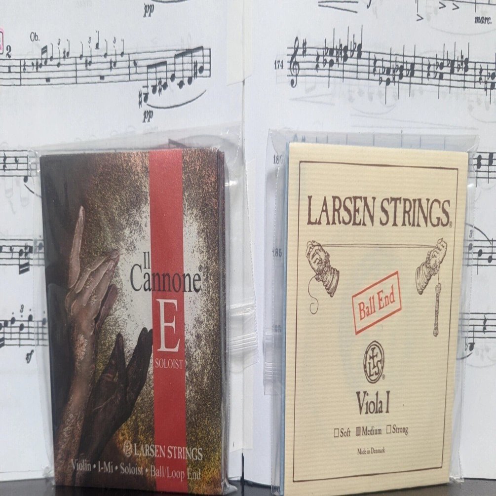 ヴィオラ弦の迷宮｜中山 ただし