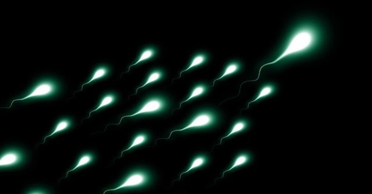 オナニーは今すぐやめろ 人生をロスしている6つの理由 ジン 禁欲トレーナー Note