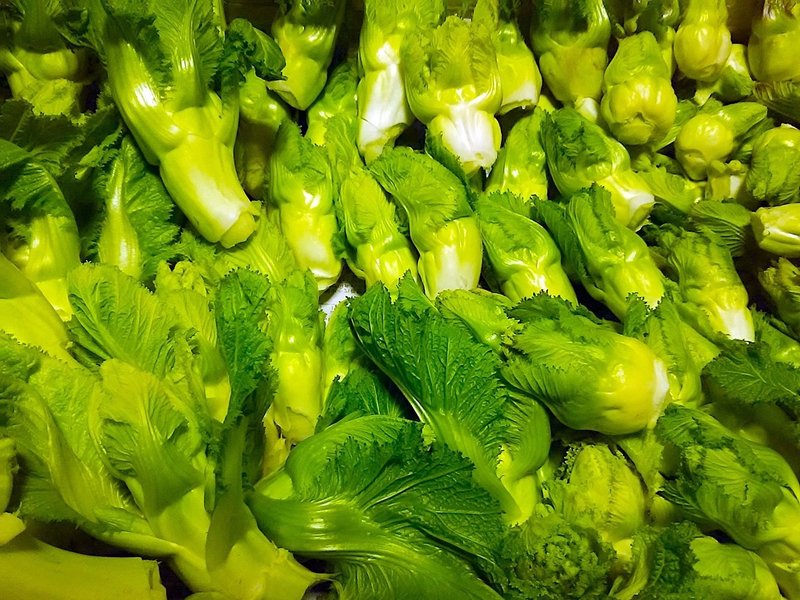 野菜は収穫までが早い もう収穫 すぐ育つんだ スー Note