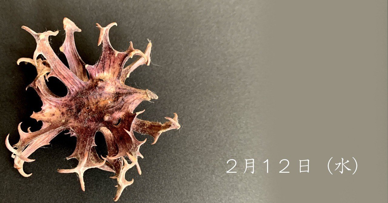 ライオンゴロシ｜さとうかよこ（きらら舎）