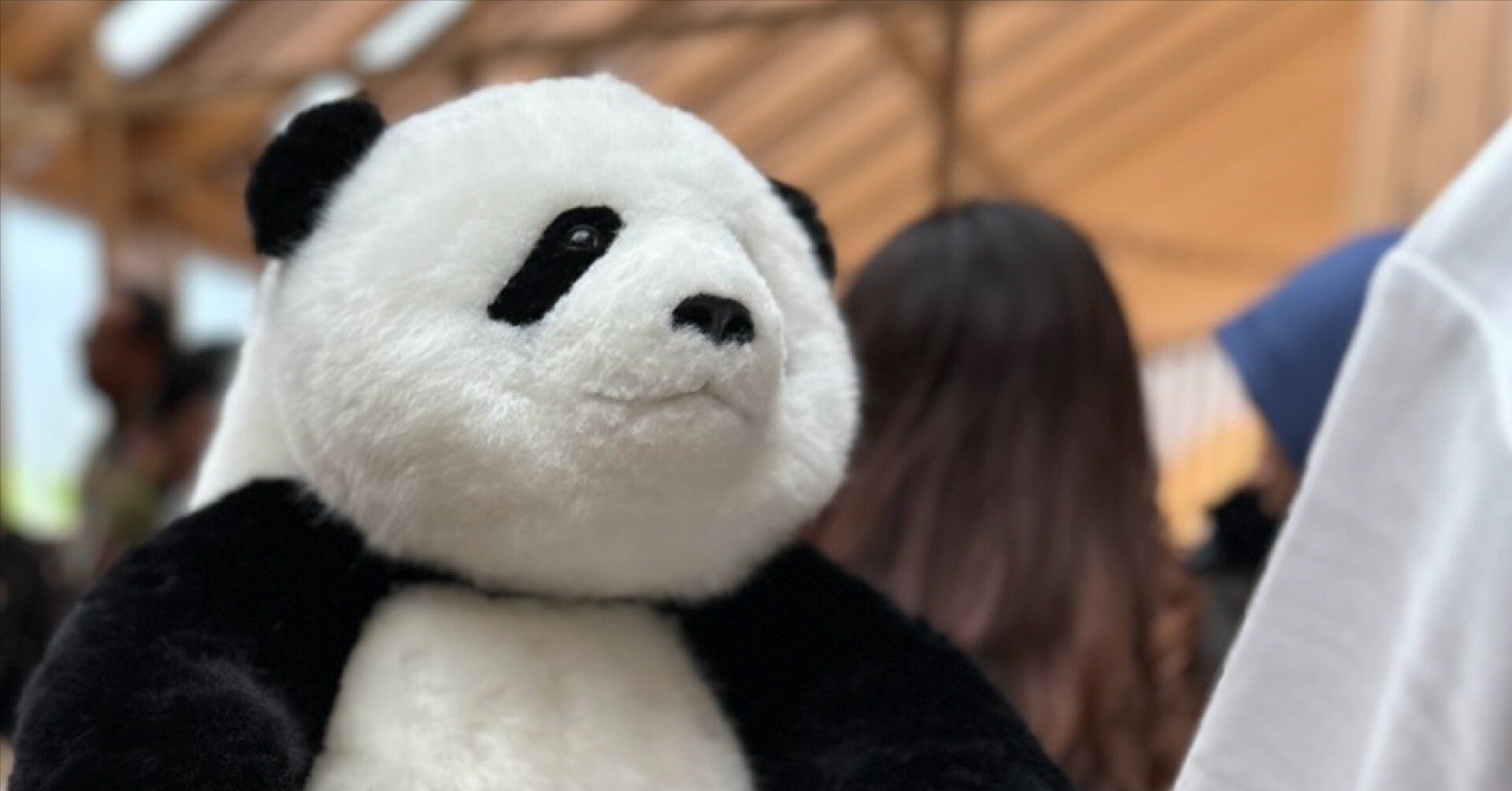 万博でパンダと出会う #大阪・関西万博レポート｜すなやますなこ