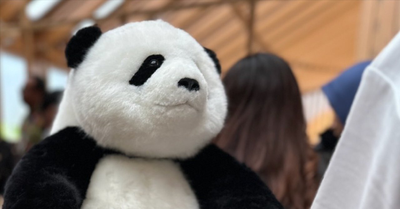 値下げ　大阪関西万博　2025　 中国館　限定 ぬいぐるみ 　パンダ rectangle_large_type_2_e326df7