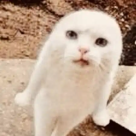 shukua