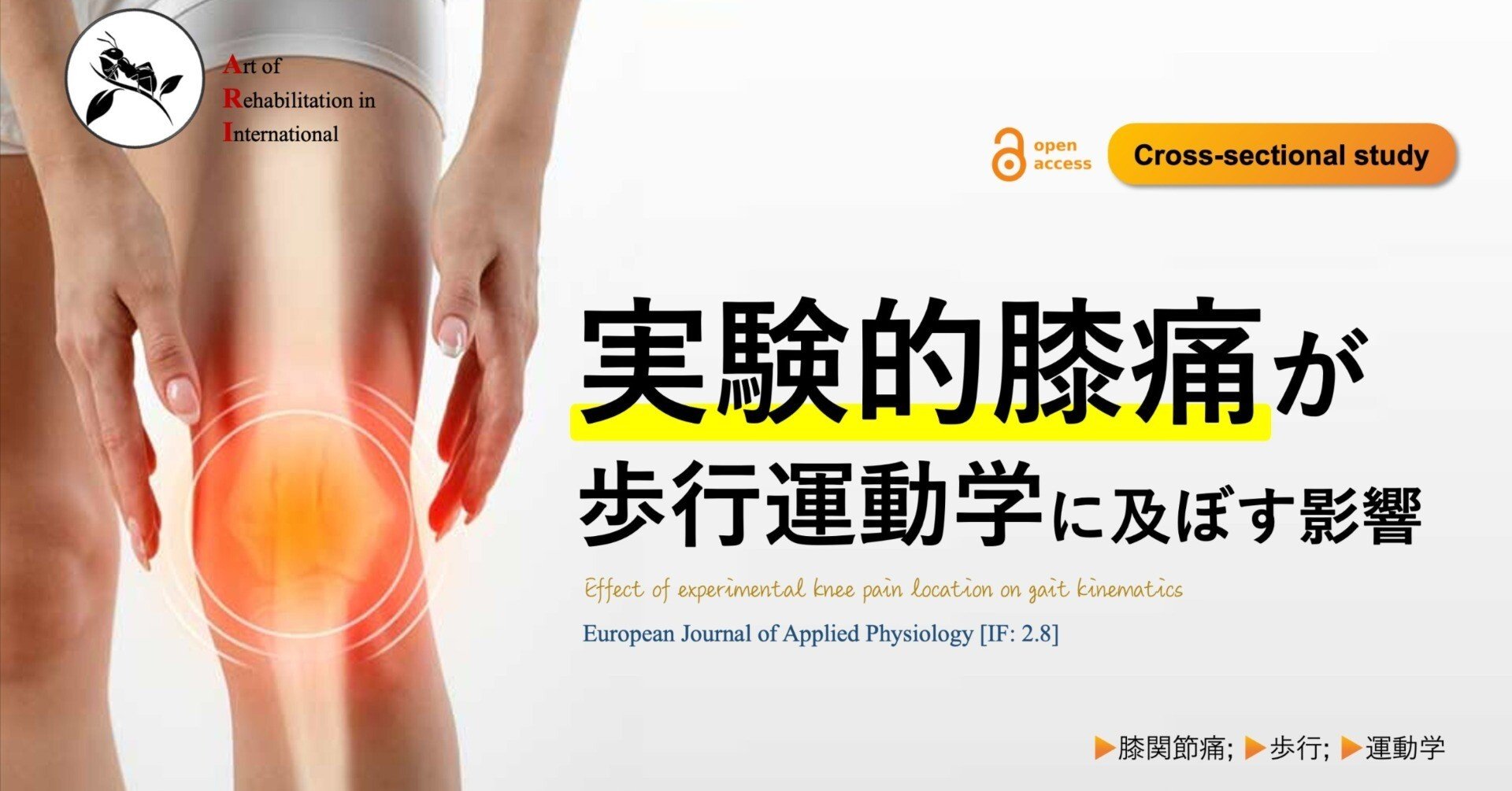 極める膝・下腿骨骨折の理学療法 (臨床思考を踏まえる理学療法プラクティス) 極める大腿骨骨折の理学療法 (臨床思考を踏まえる理学療法
