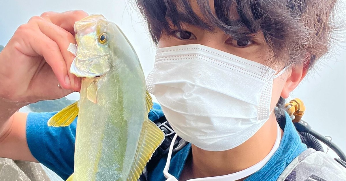 鱒レンジャーで青物を釣る時期がやってくる！鱒レンジャーを購入