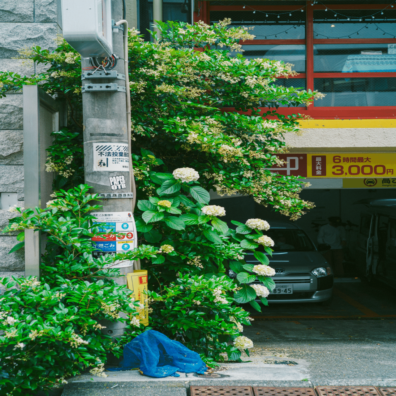 曇りの日って何撮る？｜kEigo