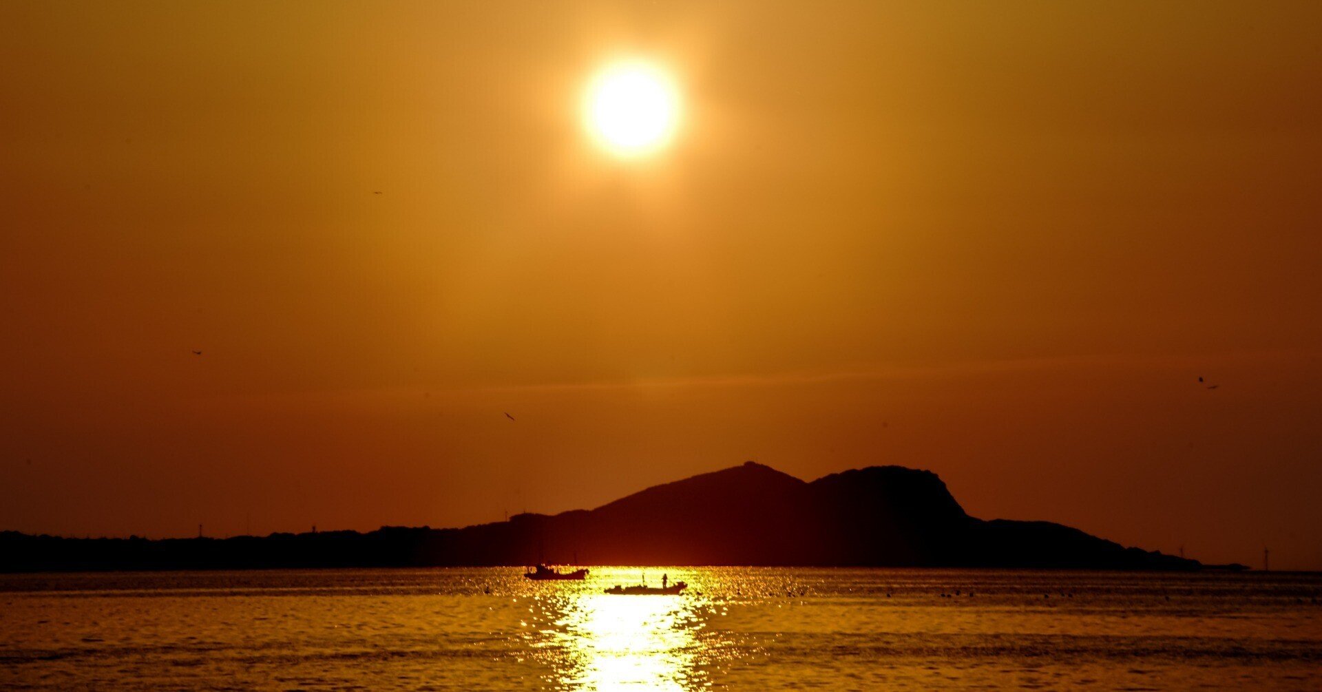 〓外観綺麗〓Tokina トキナー AT-X AF 24-200mm F3.5-5.6 Aspherical キヤノン用  中古Tokina トキナー AT-X AF 24-200mm f⁄3.5-5.6 Aspherical キヤノン用 |  中古カメラ・フィルムカメラを中心に取り揃えるファイブスターカメラ