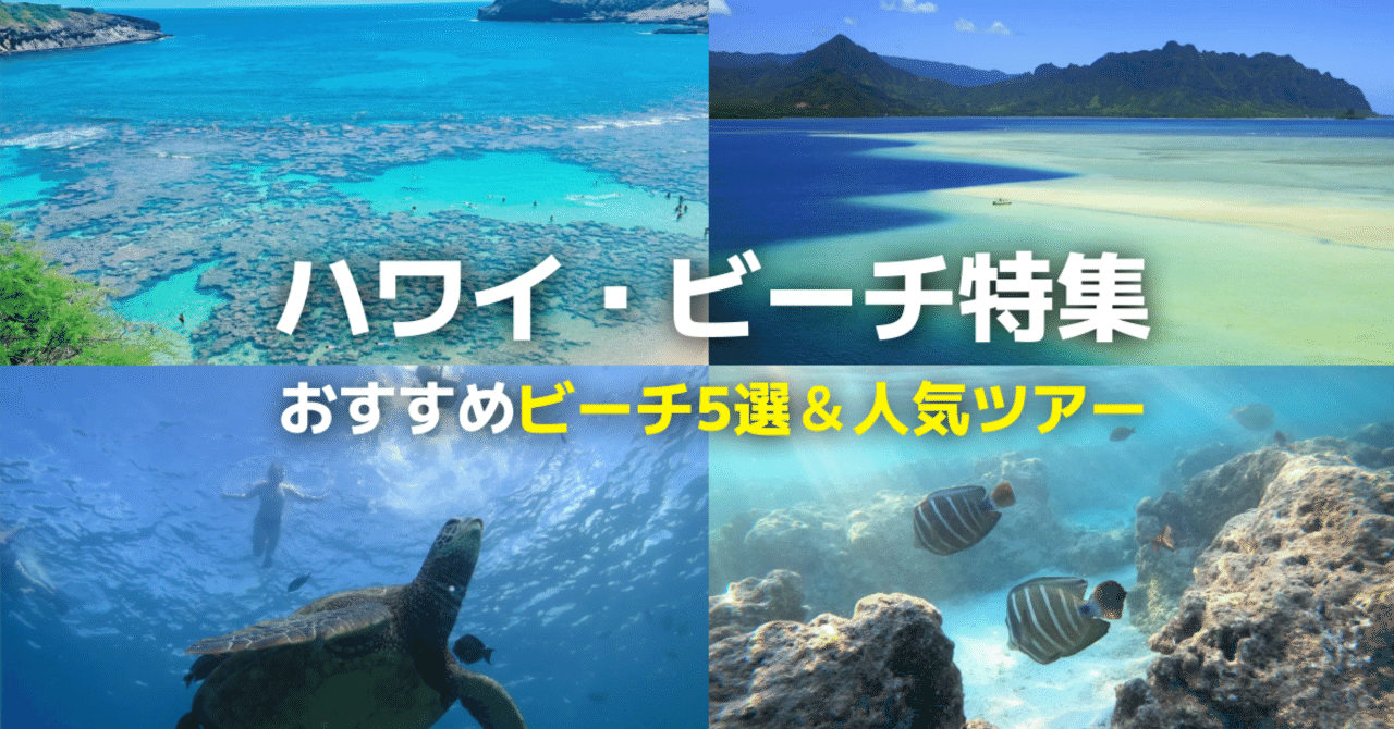 ハワイ観光スポット・ビーチ編！「天国の海」や「ハナウマ湾」などハワイの海を遊び尽くそう！【夏休み海外旅行】 ｜楽天トラベル観光体験｜Rakuten  Travel Experiences