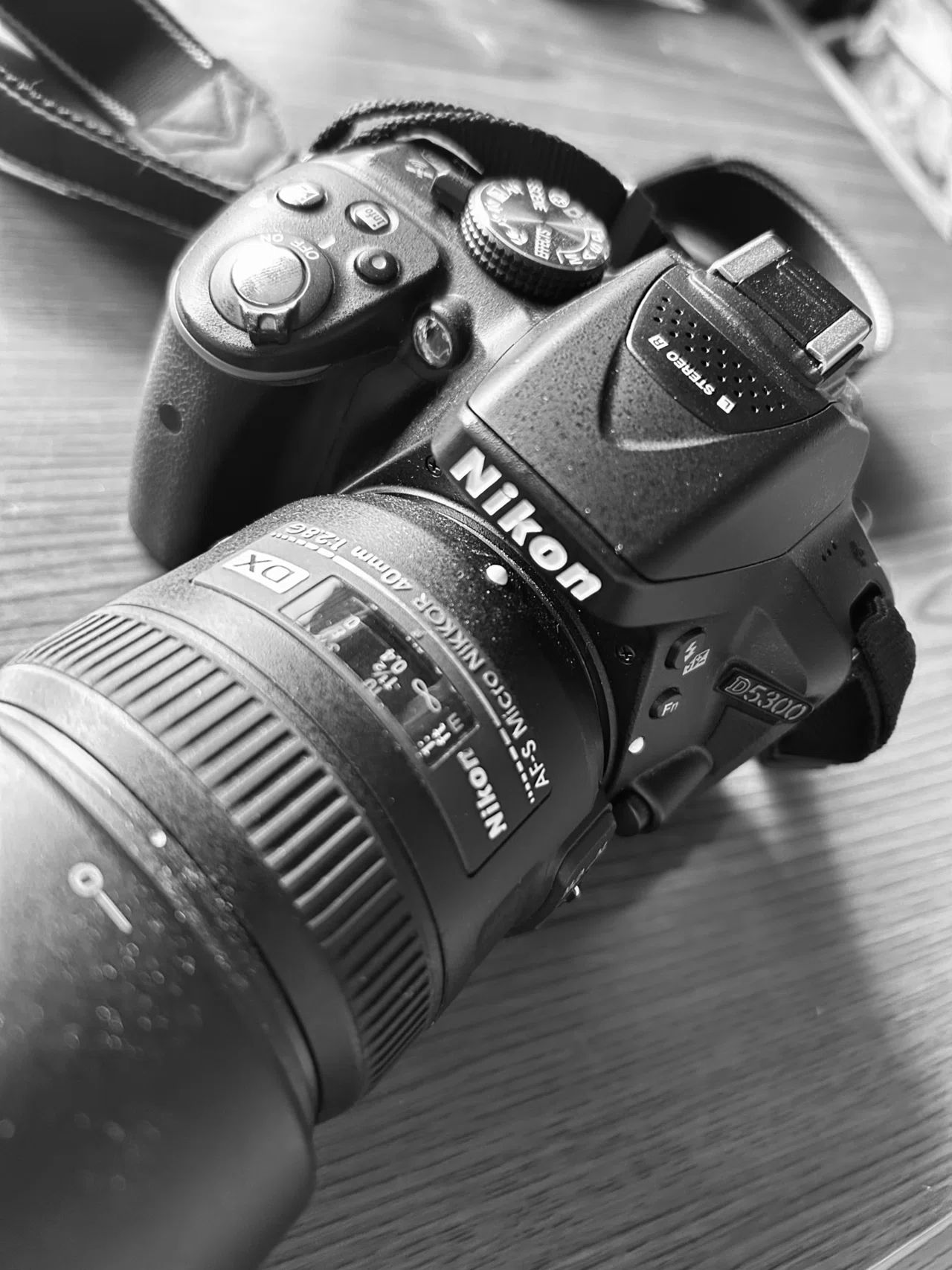 モノクロ散歩✖️D5300+単焦点レンズ｜SuzukenSambar