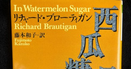 東京モンタナ急行　リチャード・ブローティガン　藤本和子　小説　文学 東京モンタナ急行 | リチャード ブローティガン, 藤本 和子 |本