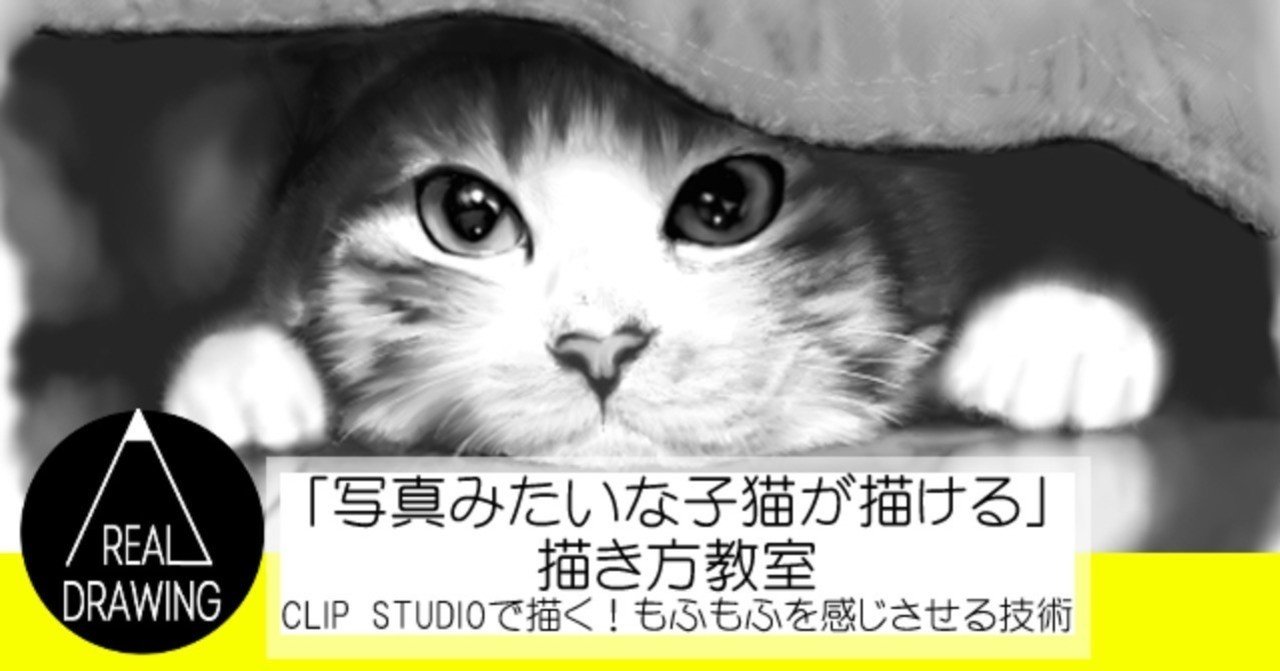 写真みたいな子猫が描ける 描き方教室 Clip Studioで描く もふもふを感じさせる技術 Realdrawing Note 写真みたいな子猫が描ける 描き方教室 Clip Studioで描く もふもふを感じさせる技術 Realdrawing Note