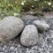 森磊水(もり・らいみ)