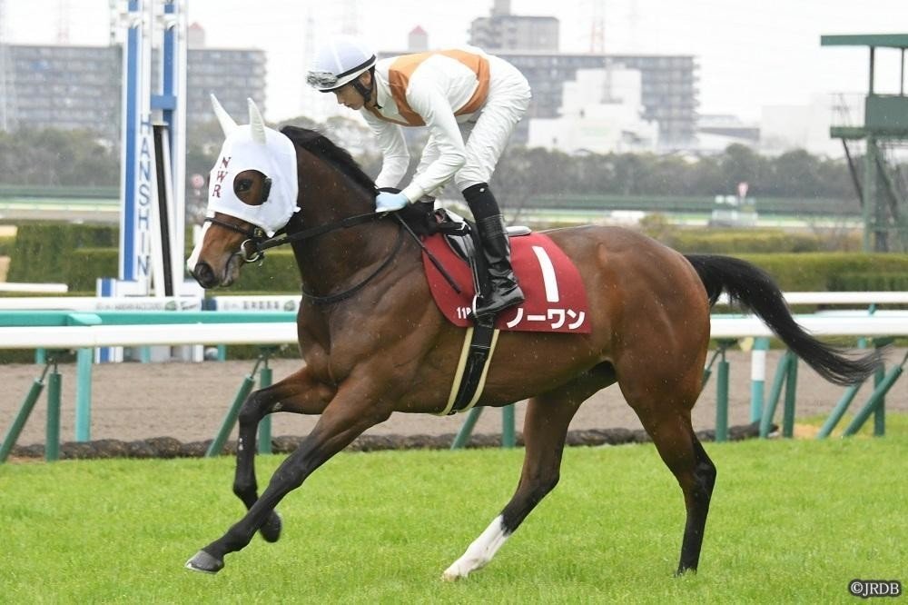 競馬 実使用ゼッケン GⅡ ラブリーデイ 競馬 実使用ゼッケン GⅡ