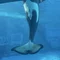 夏野原