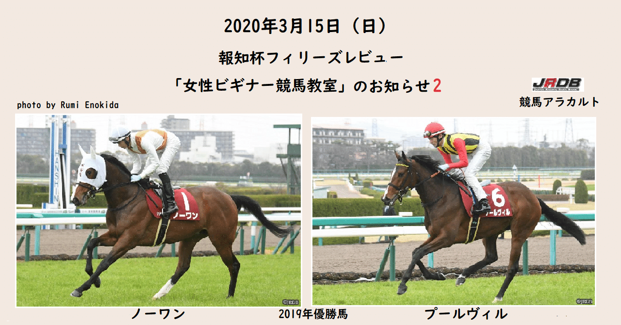 3 15 日 報知杯フィリーズレビュー 女性ビギナー競馬教室 のお知らせ２ jrdb 競馬アラカルト note