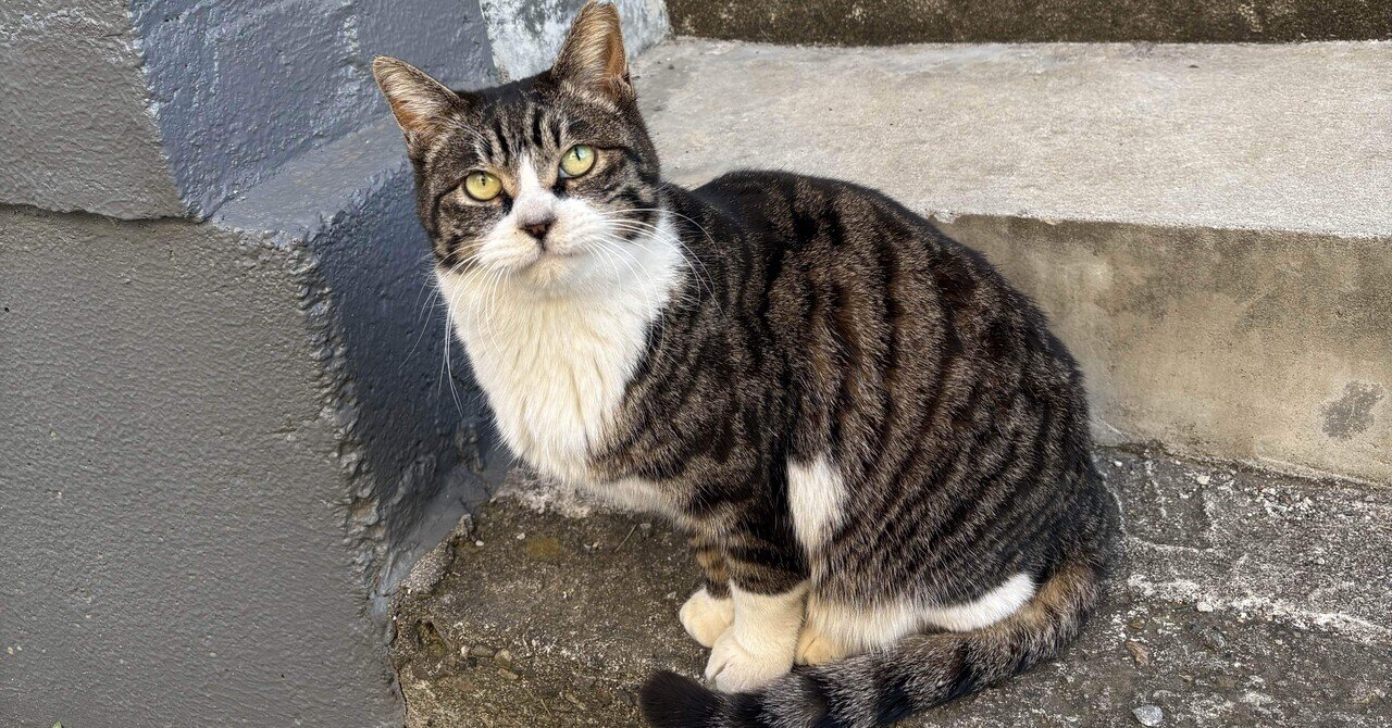 コナン考東(京)ベルリン市民