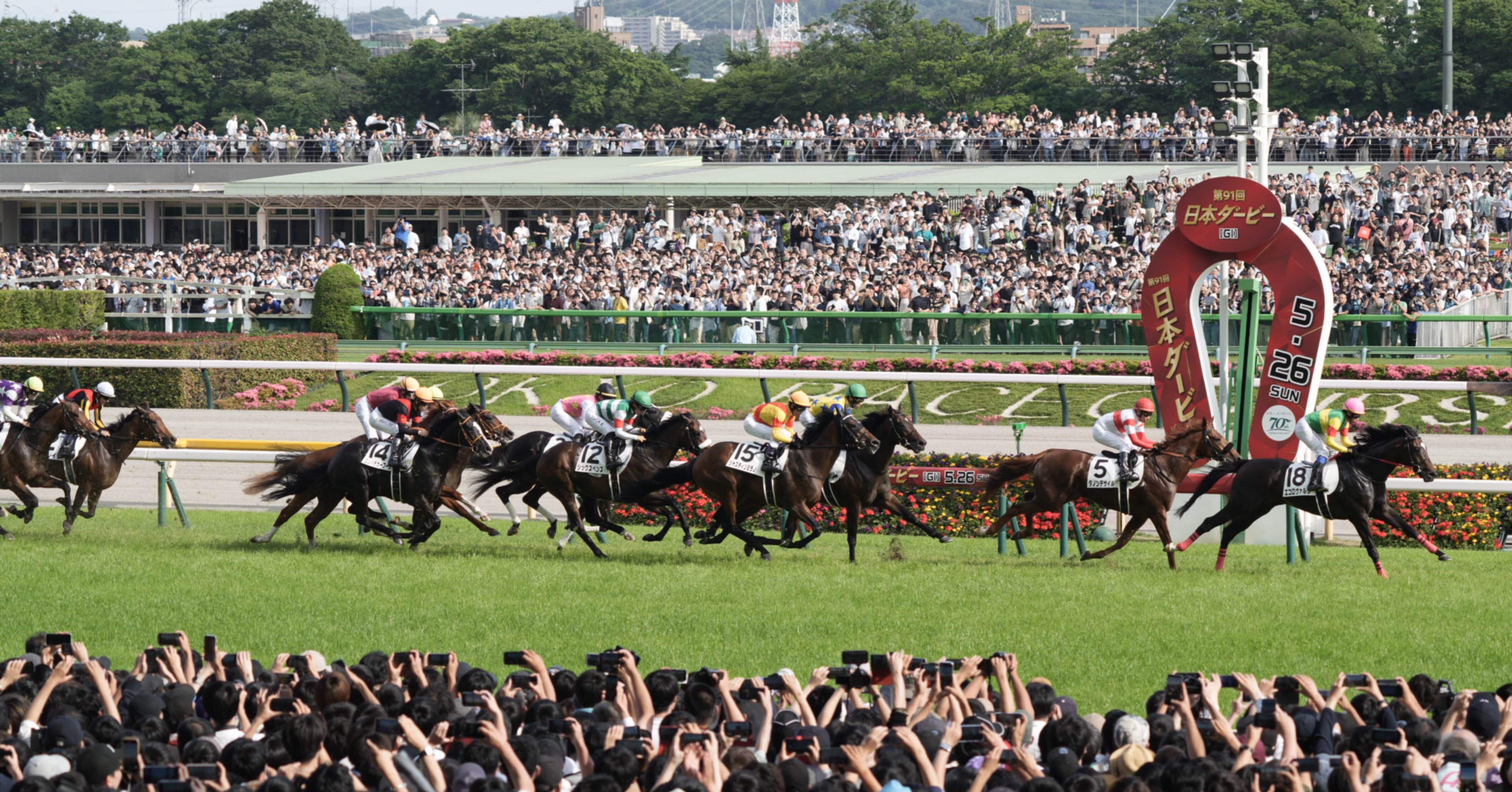 【タニノギムレット】日本ダービー(現地的中馬券／旧馬券) □現地的中単勝馬券【タニノギムレット】日本ダービー - メルカリ