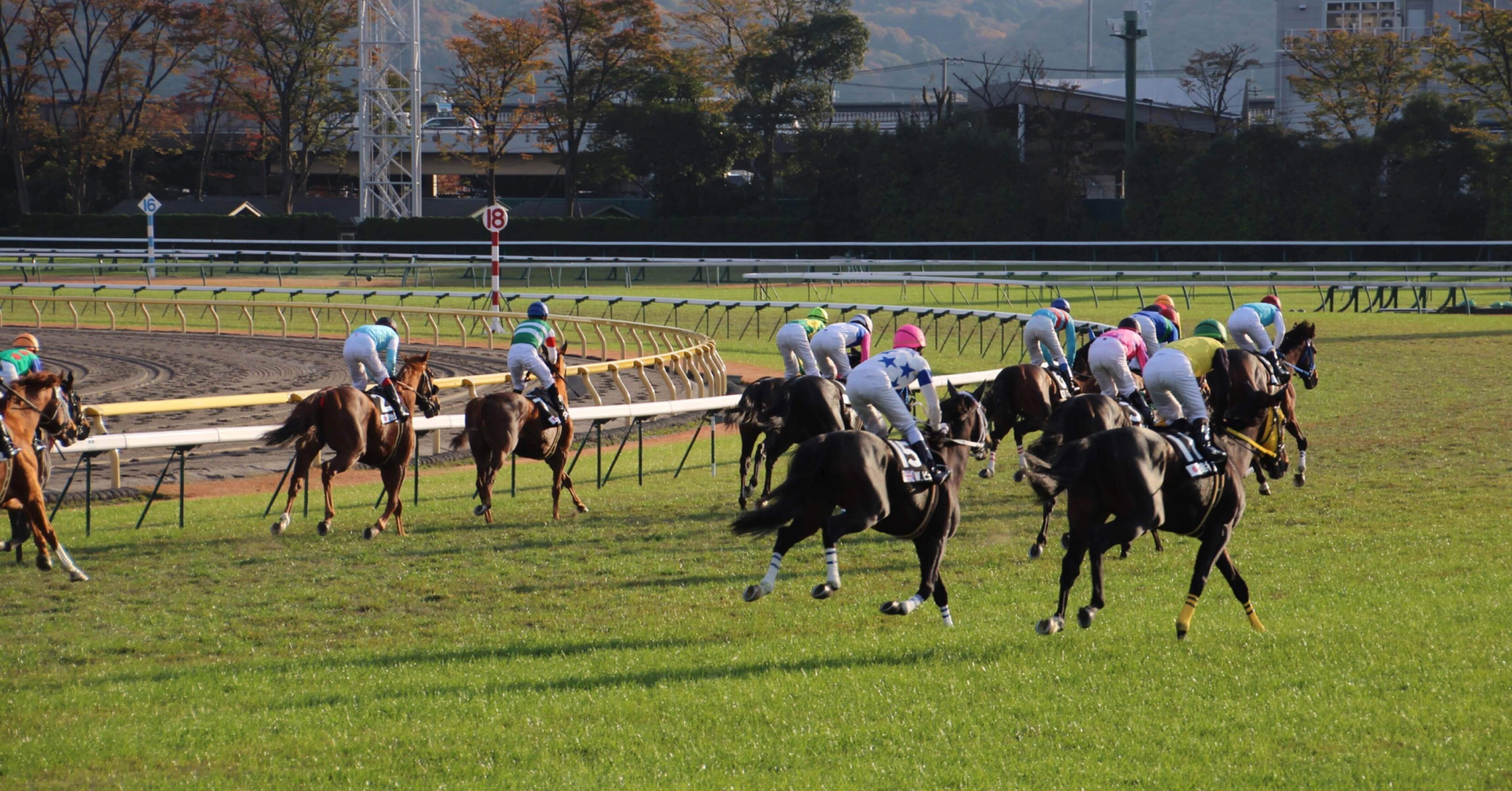ヴィクトリアマイル2025】トラックバイアスと枠順傾向｜穴田広太｜競馬