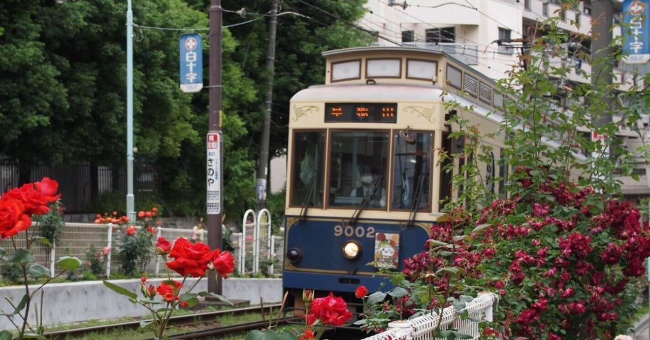 都電荒川線沿いを歩く（2025年5月25日）｜tokiirihaitu