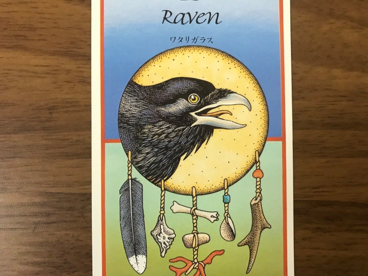 コラム レイヴンの話 天川 彩 Note