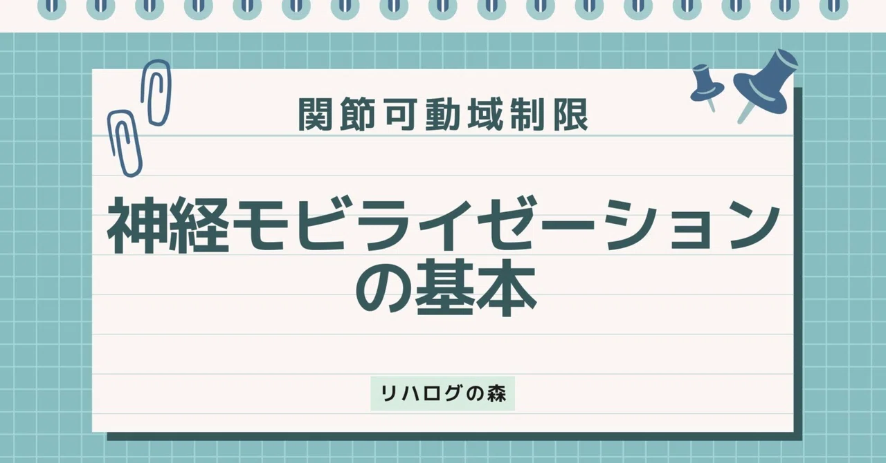 神経モビライゼーションの基本｜理学療法｜リハログの森｜理学療法士