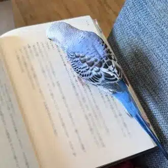縹色(はなだいろ)
