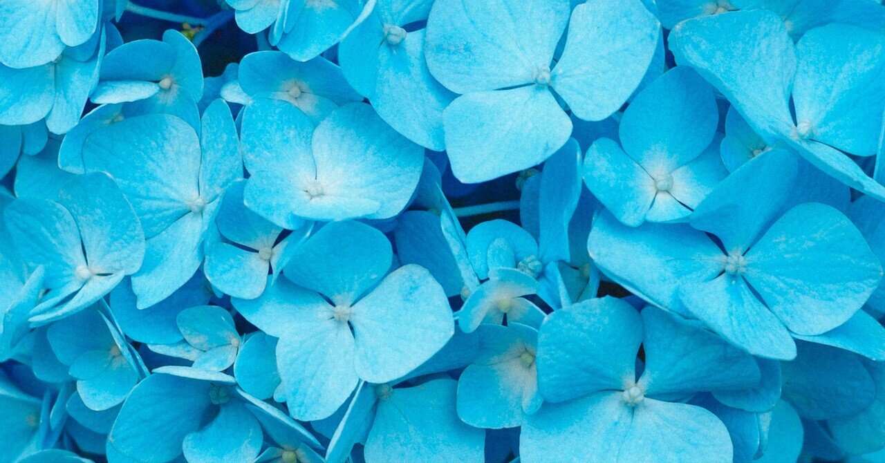 曇りの日って何撮る？｜kEigo