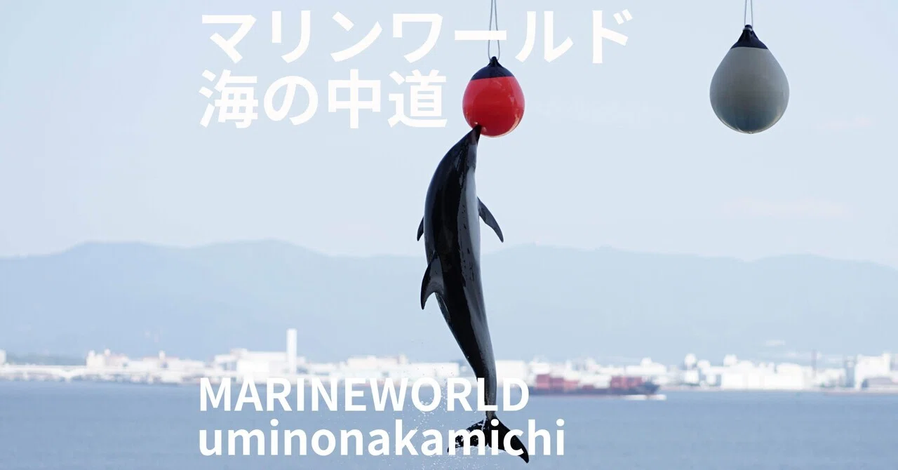 マリンワールド海の中道 MARINEWORLD uminonakamichi｜MELLOW TIMES IN