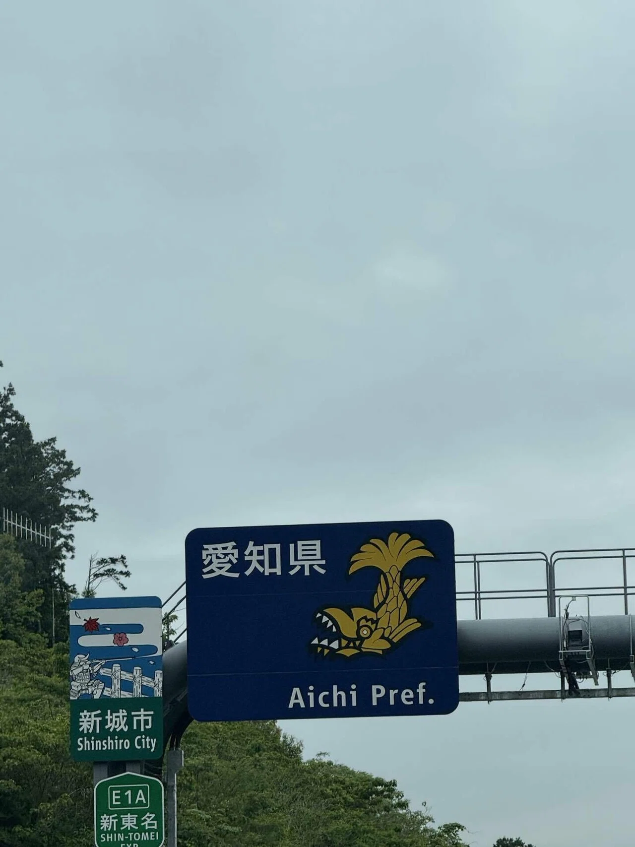 中日vs阪神 2025/5/24-25 バンテリンドーム名古屋｜もさ