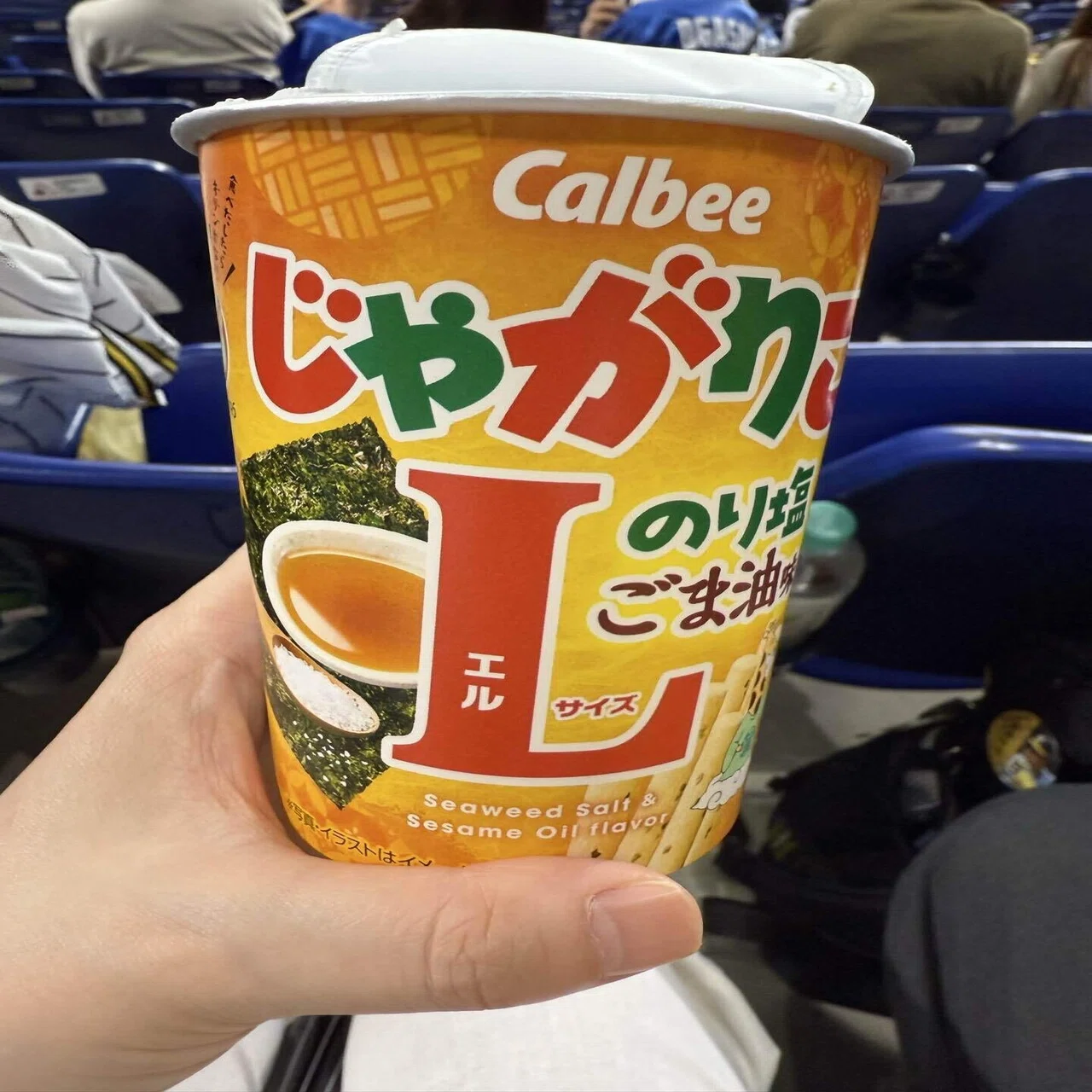 中日vs阪神 2025/5/24-25 バンテリンドーム名古屋｜もさ
