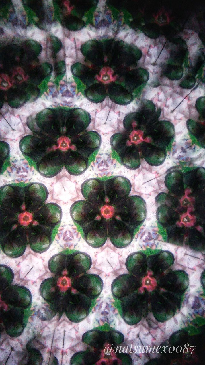 きょうのテレイド 0213 なつめ Note