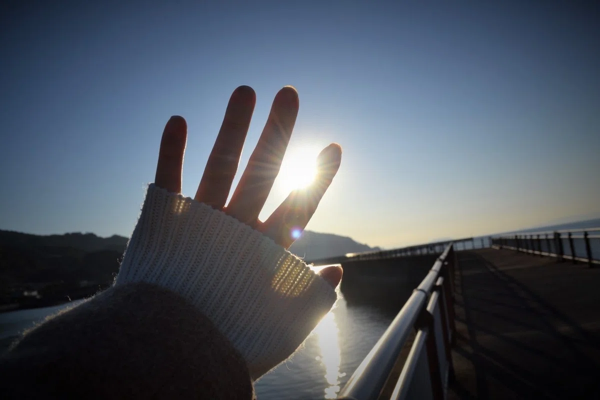 画像9
